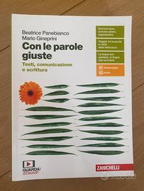 Con le parole giuste