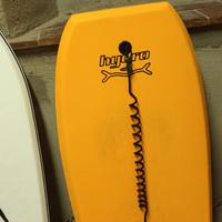 nr 2 tavole bodyboard con sacca e pinne