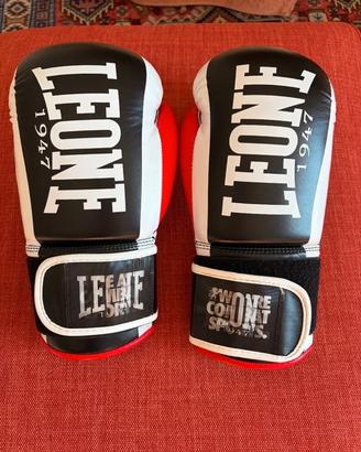 Guanti Boxe Leone 10 Oz