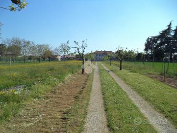 TER. RESIDENZIALE A VEDELAGO