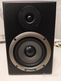 Coppia monitor studio Seiwin ST-5a