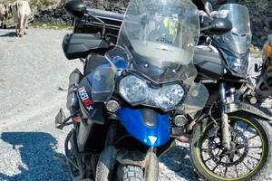 Triumph tiger