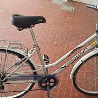 Bicicletta Adriatica