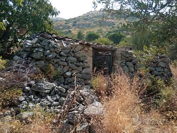 Rustico/ casa con terreno