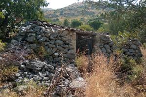 Rustico/ casa con terreno