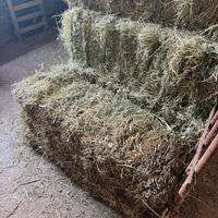 Balle di fieno misto medica, rettangolari