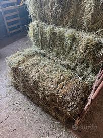 Balle di fieno misto medica, rettangolari