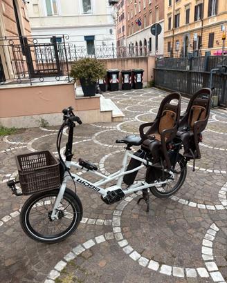 Bici elettrica cargo WD99 con seggiolini