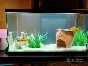 Acquario nuovo di 2 mesi con accessori e pompa