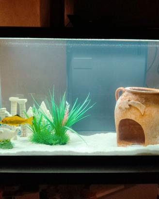 Acquario nuovo di 2 mesi con accessori e pompa