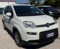 fiat-panda-1-2-easypower-gpl