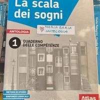 LA SCALA DEI SOGNI 1