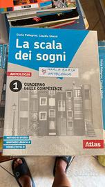 LA SCALA DEI SOGNI 1