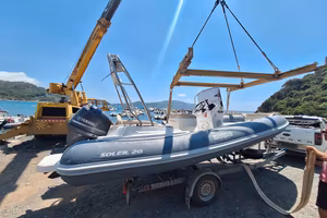 Salpa Soleil 20