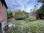Immagine 26