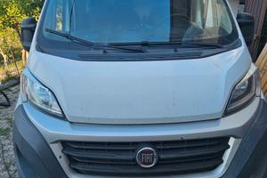 Fiat ducato professional