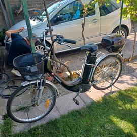 bicicletta pedalata assistita