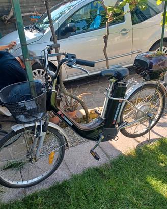 bicicletta pedalata assistita