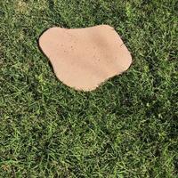 mattonella per giardino