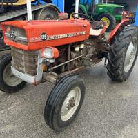 Massey Ferguson 135 motore Perkins