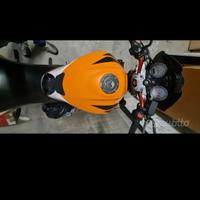 hornet repsol 600