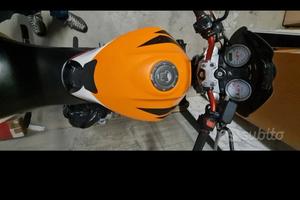 hornet repsol 600