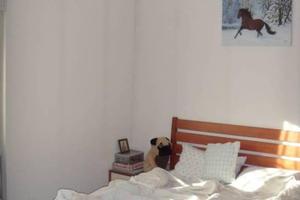 Immobile in asta di 92 m² con 3 locali e box auto 