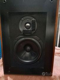 Aliante/Acoustical RS1 diffusori