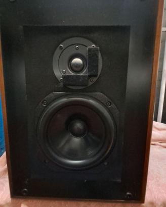 Aliante/Acoustical RS1 diffusori