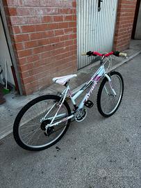 Bici (indicata per donne)
