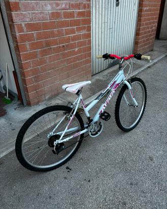 Bici (indicata per donne)