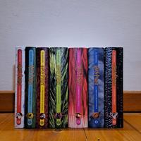 Saga completa libri Harry Potter + libro OMAGGIO 
