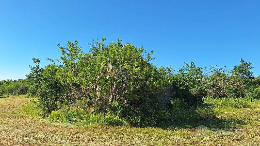 Rustico / Casale di 32 m² a Putignano - Altro
