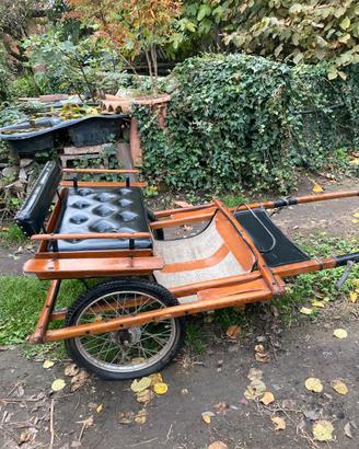 Calesse per pony/cavalli