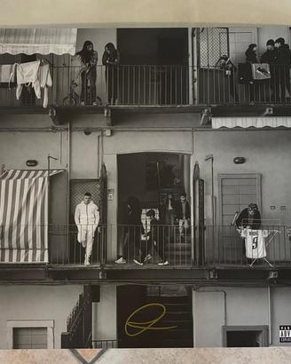 Vinile Rhove popolari