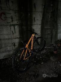 Whellie bike prezzo tratabileb