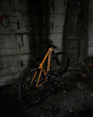 Whellie bike prezzo tratabileb