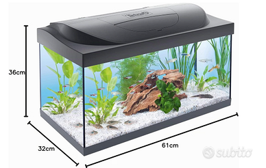 Acquario Tetra