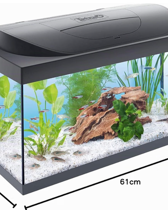 Acquario Tetra