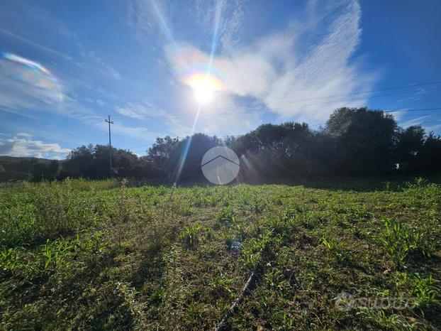 TER. AGRICOLO A QUARTUCCIU