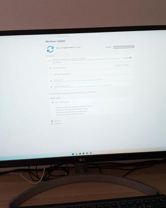 Monitor LG 27UL500