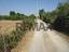 Immagine 18