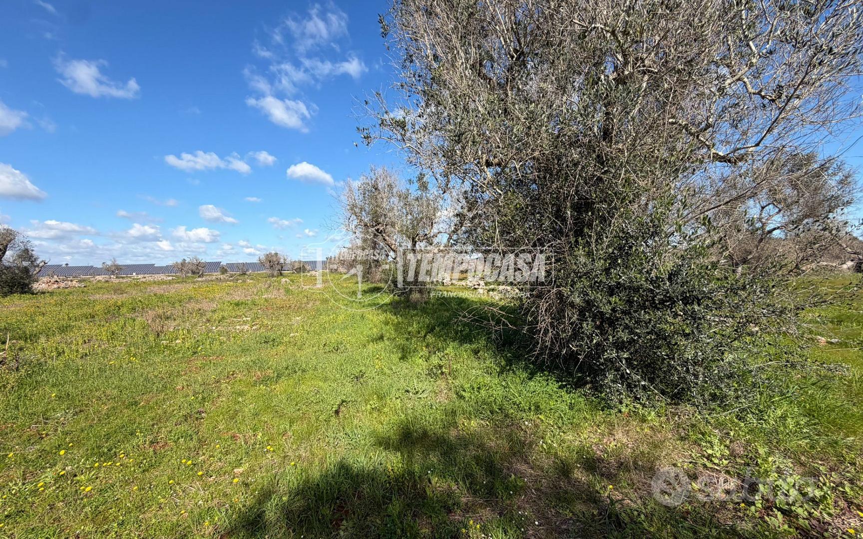 Terreno agricolo a Sanarica 1 locali - Vista 2