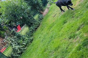 Quadrilocale con giardino di 130 mq