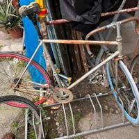 Telaio bicicletta CAMPAGNOLO