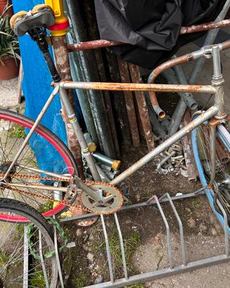 Telaio bicicletta CAMPAGNOLO