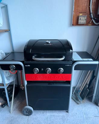 Grill giardino char broil gas2coal