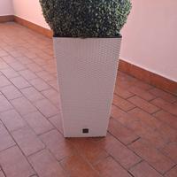 vaso con bosso finto 