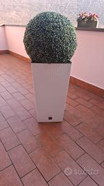 vaso con bosso finto 