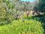 Immagine 23
